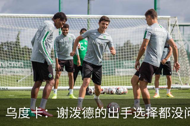 乌度卡：谢泼德的出手选择都没问题 斯玛特缺席他会更多打控卫