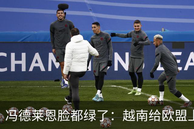 冯德莱恩脸都绿了：越南给欧盟上了一课：什么叫 “中国力量”！
