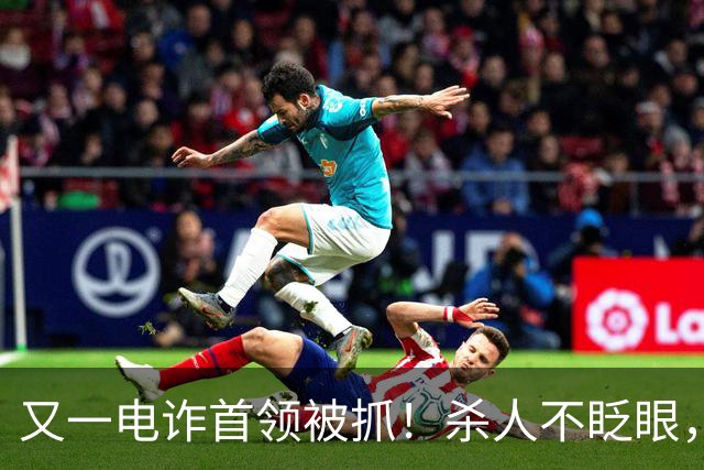 又一电诈首领被抓！杀人不眨眼，祸害国人超27亿，网友呼吁查赵薇