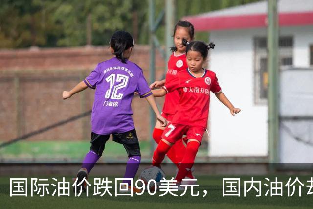 国际油价跌回90美元，国内油价却稳在8块多：真的是“桶贵了”吗