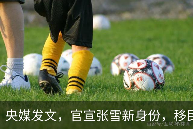 央媒发文，官宣张雪新身份，移民跑路、资产转移海外传闻早有真相