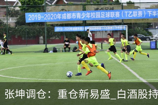 张坤调仓：重仓新易盛 白酒股持仓数量减少