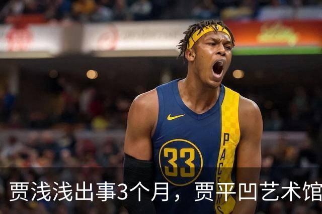 贾浅浅出事3个月，贾平凹艺术馆被法拍，建馆8000万他没出一分钱