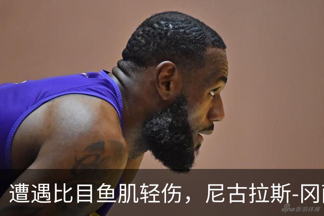 遭遇比目鱼肌轻伤，尼古拉斯-冈萨雷斯社媒表态要强势回归