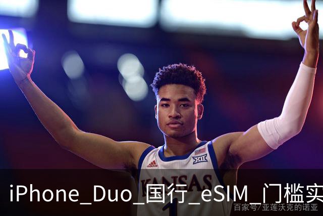 iPhone Duo 国行 eSIM 门槛实测：一证五号要注意，折叠屏用户先想清楚